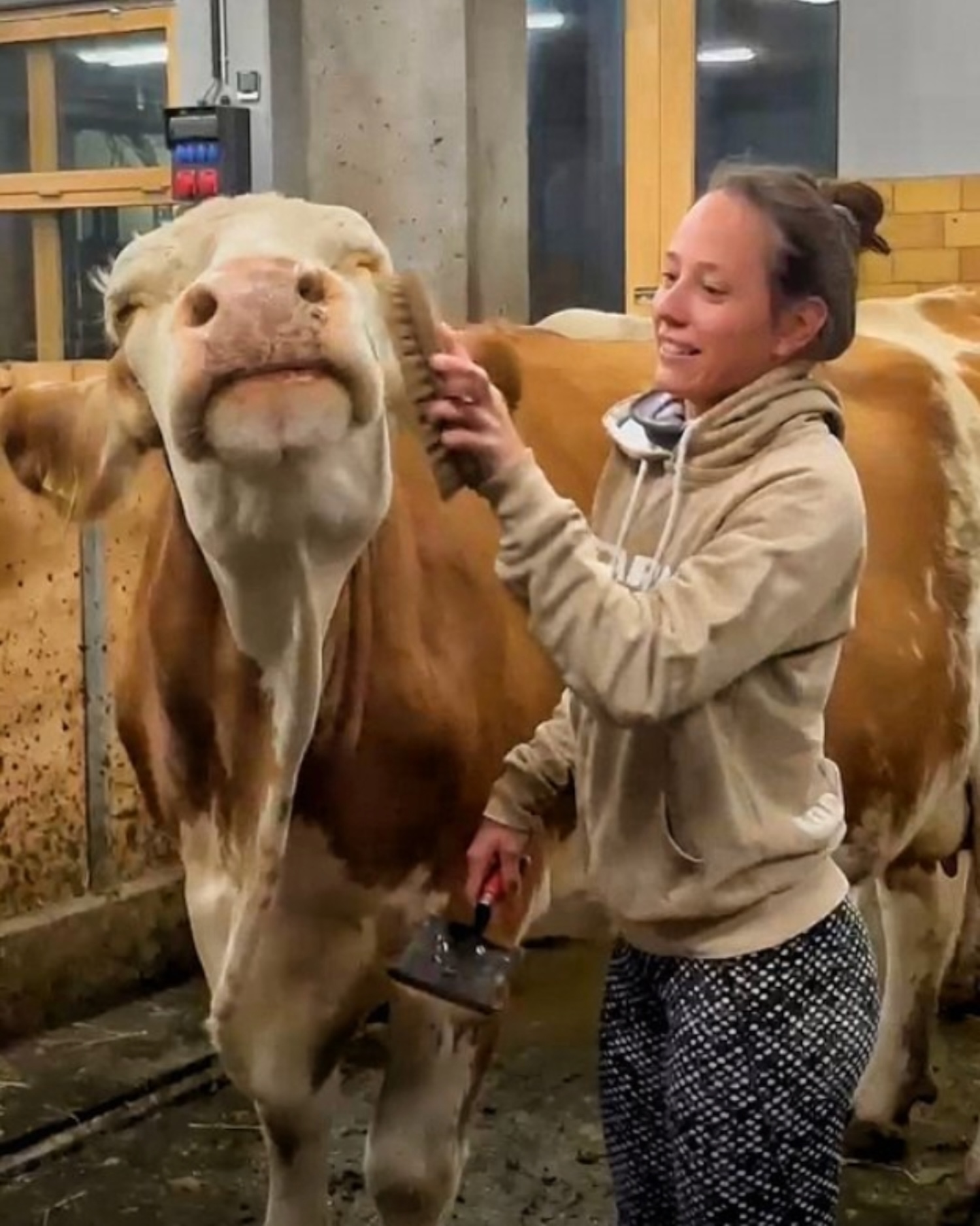 Unsere Tiere
